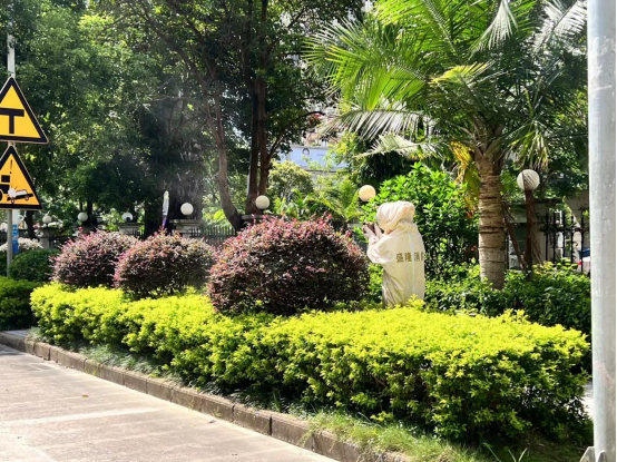 马蜂筑巢高峰期 做最专业的体育门户网站专职消防一个月摘除42个扰民蜂巢