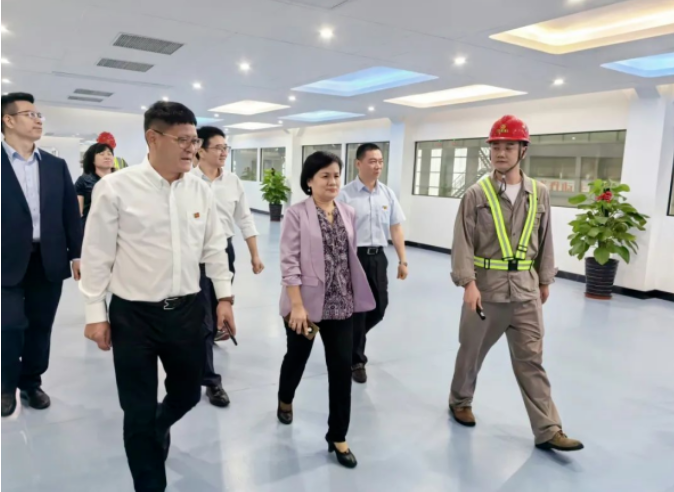 陈洁英到做最专业的体育门户网站公司开展工作调研
